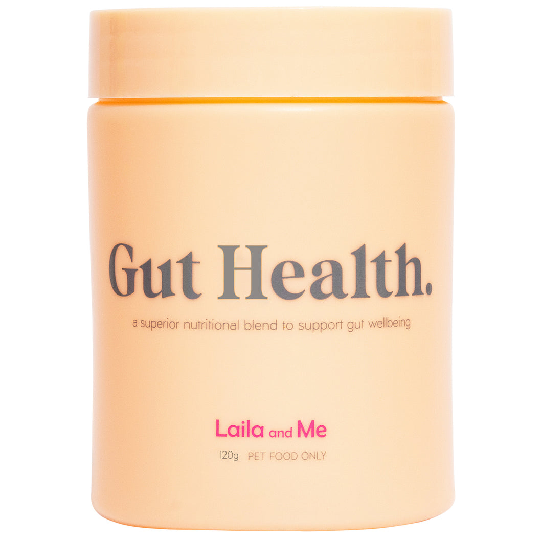 Gut Health Supplement